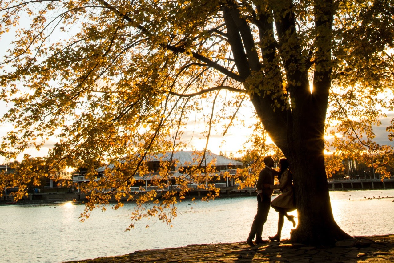 Top Tips For Planning a Fall Proposal