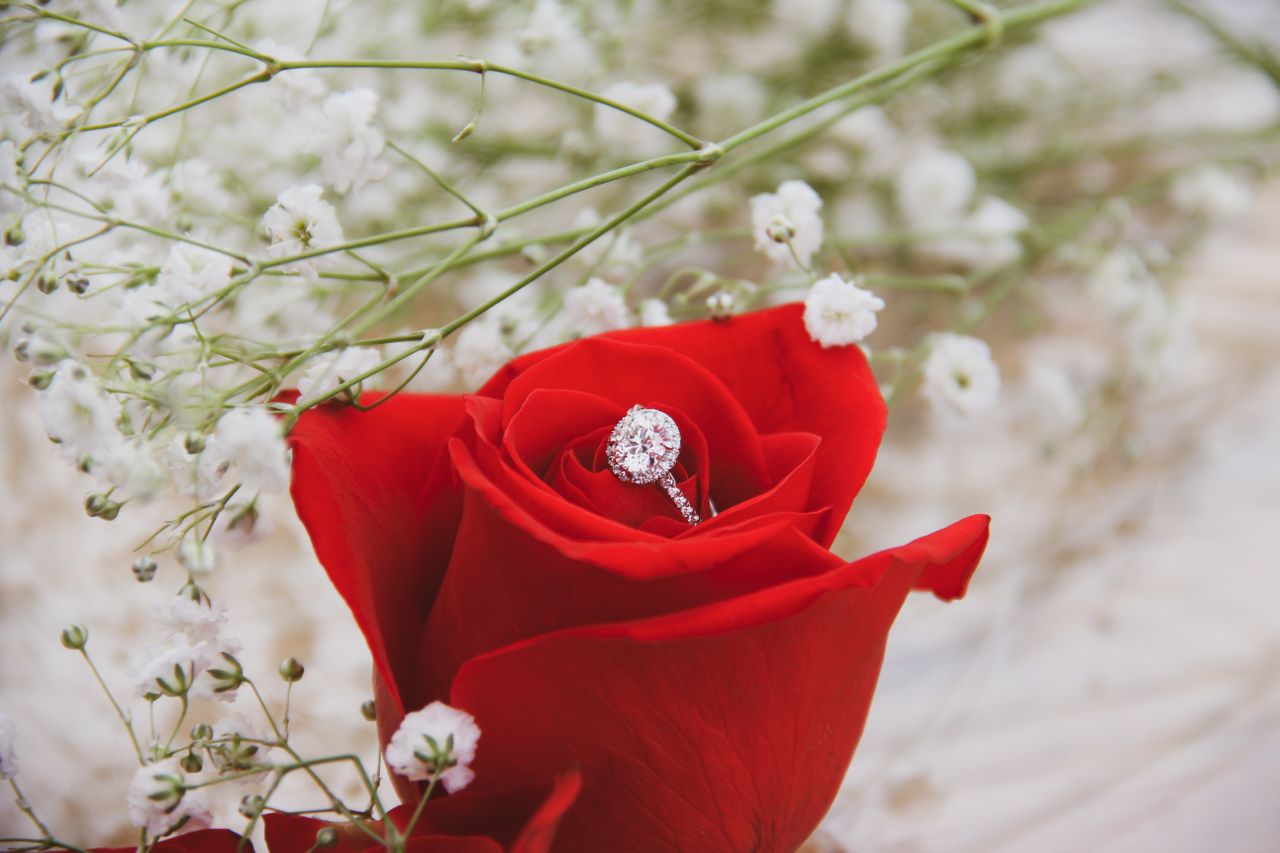 A round cut halo engagement ring sitting in the middle of a single red rose with baby’s breath around it