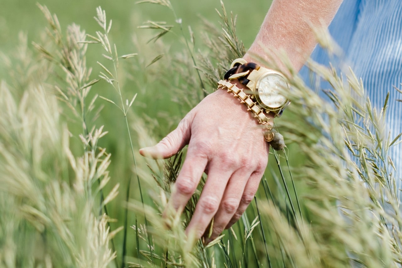 a woman’s hand touching tall grass and adorned with a gold watch and bracelet