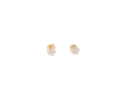 Aucoin Hart Jewelers Earrings  150-15984